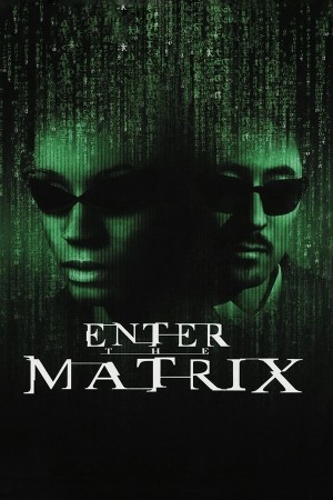Скачать Enter the Matrix торрент